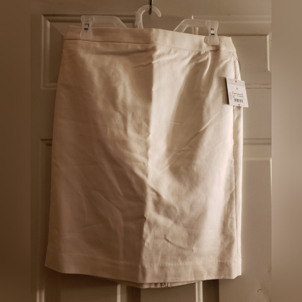 NWT Liz Claiborne Lined Skirt Size 4